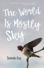 Cover: Flyway by Sarah Ens