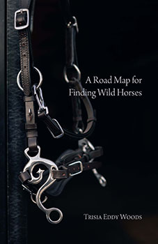 A Road Map for Finding Wild Horses by Trisia Eddy Woods