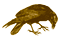 logo: Ravenstone